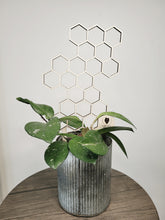 Load image into Gallery viewer, Geometric Plant Trellis - Honeycomb
