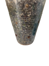 Load image into Gallery viewer, Rhaphidophora Foraminifera Variegata
